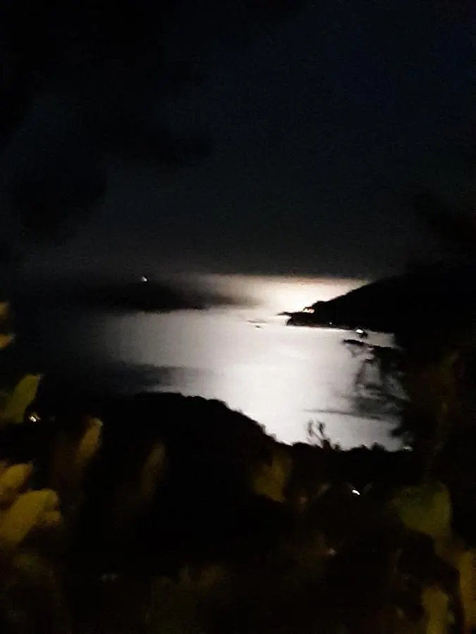 Il Mare Nel Bosco Appartamento Con Terrazza Nella Natura, Vista Mare, Lerici E Isole 0*,