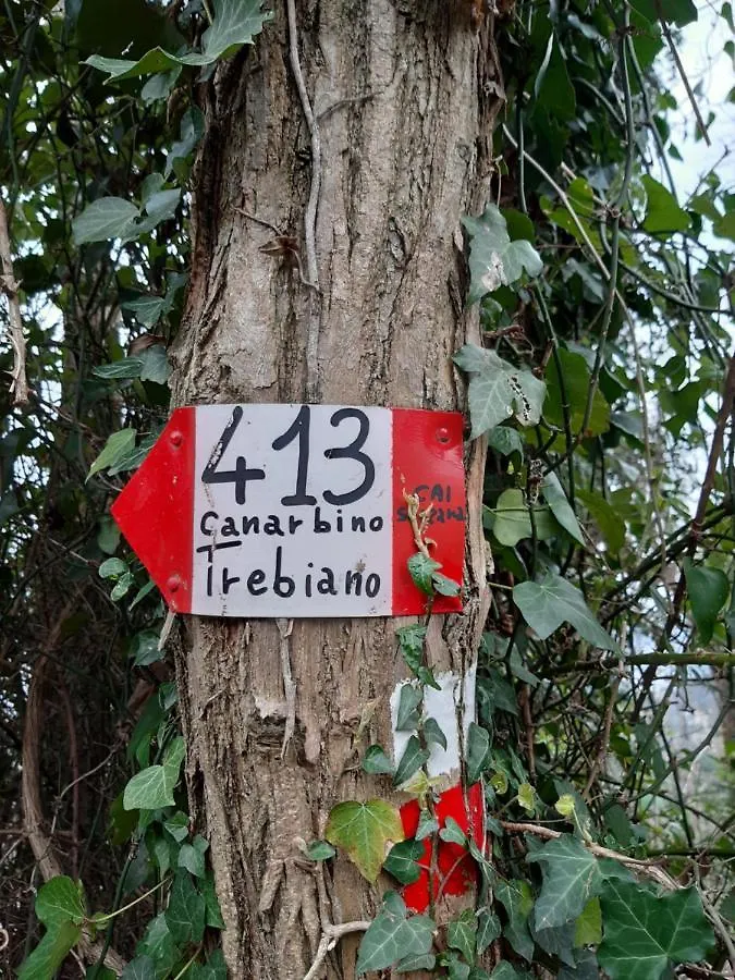 Il Mare Nel Bosco Appartamento Con Terrazza Nella Natura, Vista Mare, Lerici E Isole 0*,