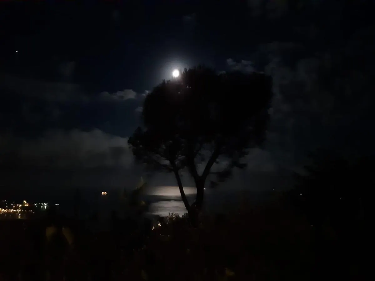 Il Mare Nel Bosco Appartamento Con Terrazza Nella Natura, Vista Mare, Lerici E Isole 0*,