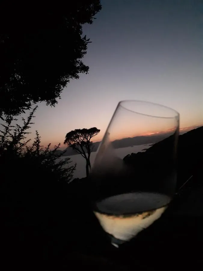 Il Mare Nel Bosco Appartamento Con Terrazza Nella Natura, Vista Mare, Lerici E Isole Holiday home